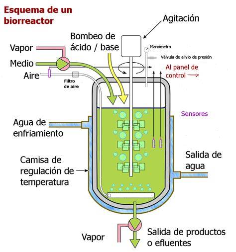 Esquema de aire estéril en fermentador