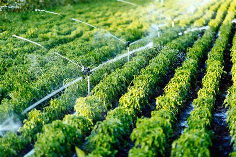 análisis de agua para riego agrícola