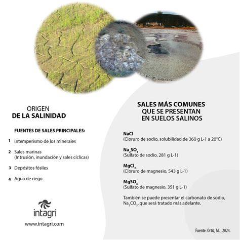 acumulación de sales en zona radicular