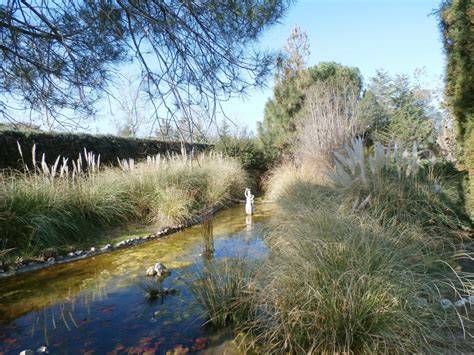 Estanque de jardín con algas filamentosas