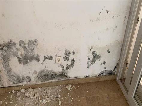 Humedad por capilaridad en muro