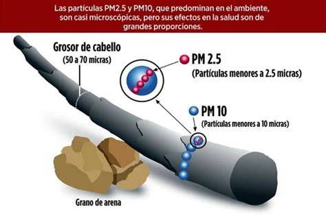 partículas PM2,5 y PM10 en gimnasio