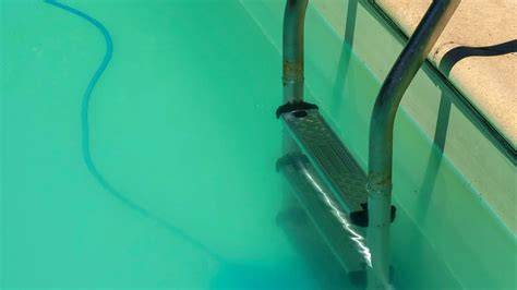 piscina grande con agua turbia y agua cristalina