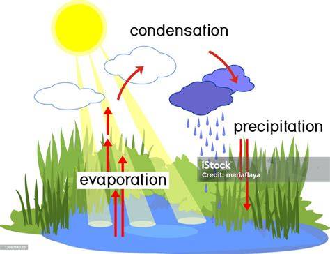 Esquema de evaporación y condensación del agua