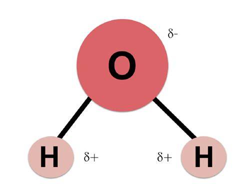 Estructura molecular de la molécula de agua