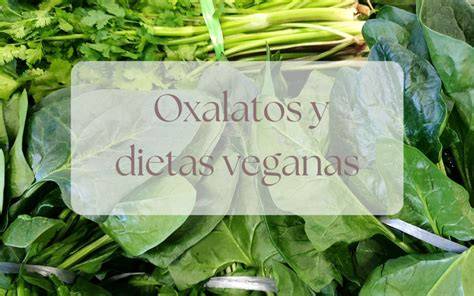 Riesgos de oxalatos nitratos y bacterias en batidos verdes
