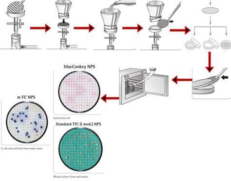 Esquema de filtración por membrana microbiológica
