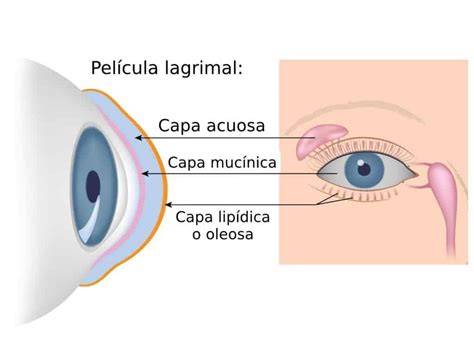 superficie ocular y película lagrimal