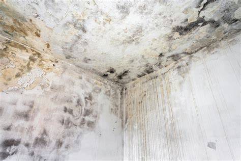 pared interior con manchas de humedad