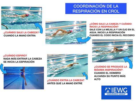 técnica de natación crol respiración