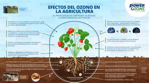 Infografía de efectos médicos del ozono