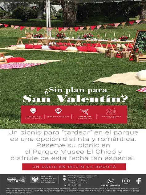 Picnic romántico en parque al amanecer