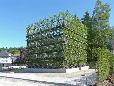 Baubotanik estructura con árboles vivos