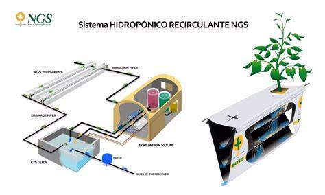 Esquema ozonizador agua sistema hidropónico