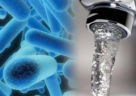 bacteria Legionella en agua