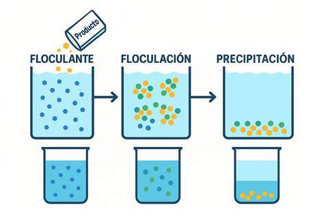 Proceso de floculación de partículas en piscina