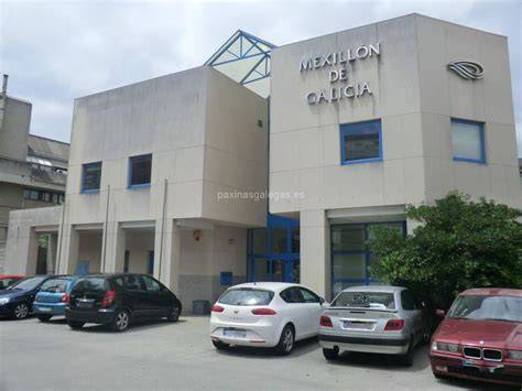Edificio Mexillón de Galicia Vilagarcía