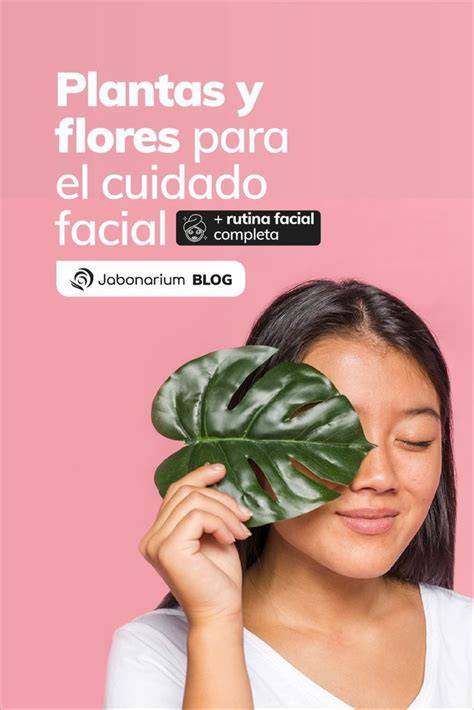 Infusiones de plantas para cuidado facial