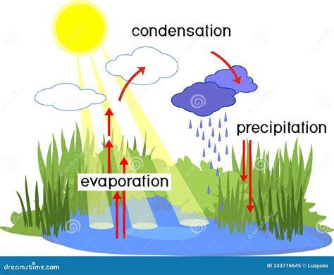 Esquema de evaporación y condensación de aguas residuales