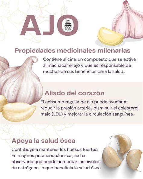 Bulbo de ajo y compuestos activos