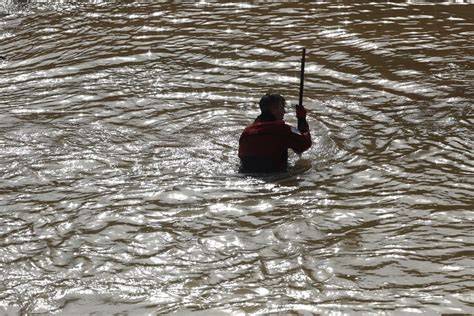 Leptospira en agua dulce contaminada
