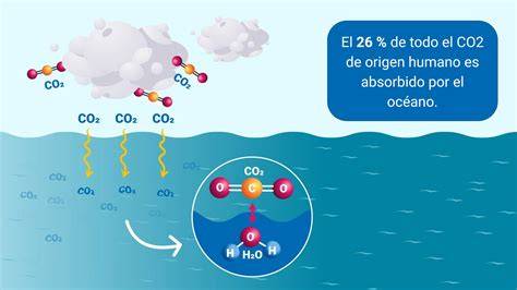 absorción de CO2 por agua desionizada