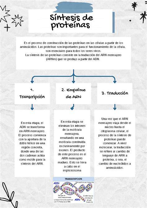 esquema de síntesis y purificación AuNPs