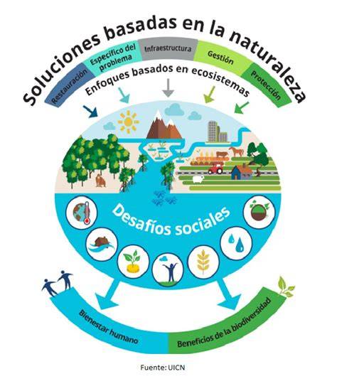 Soluciones basadas en la naturaleza ecosistemas