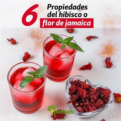 Flor de Jamaica o hibisco para cabello