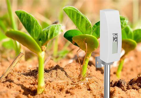 sensor de temperatura IoT bajo tierra