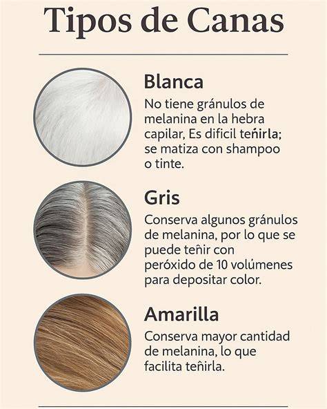 Cabello canoso con matiz blanco frío
