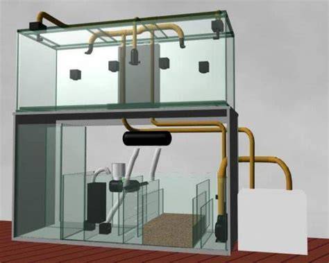 Esquema de filtro sump para tortugas