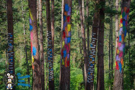 Árboles pintados del Bosque de Oma