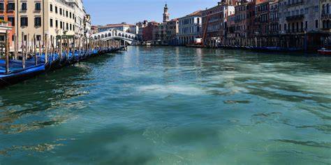 Canales transparentes con peces en Venecia