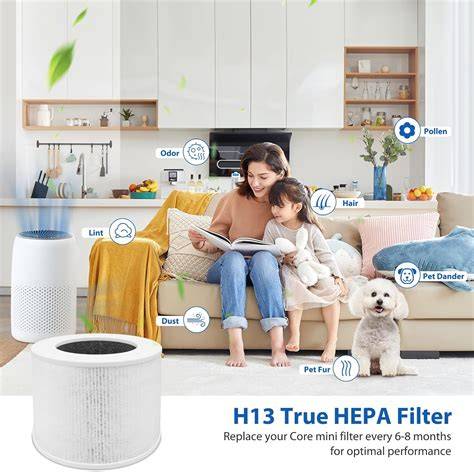 Filtro True HEPA H13 para purificador