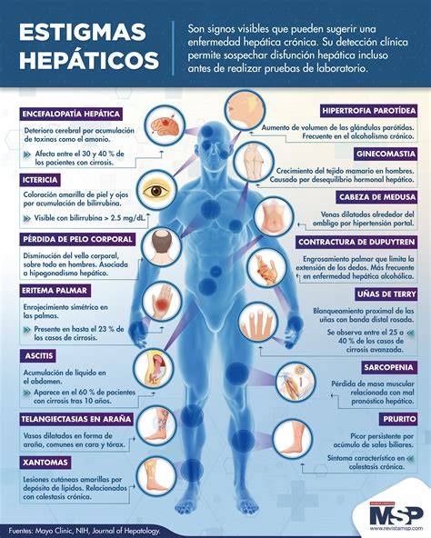 Hígado de ave y signos de enfermedad hepática