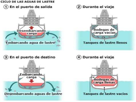 ciclo del agua de lastre entre puertos