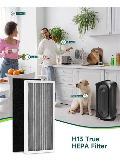 Alérgenos domésticos y filtro HEPA