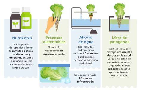 análisis de agua para lechugas hidropónicas