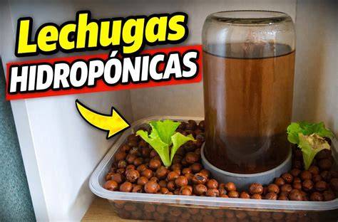 aireación de depósito hidropónico para lechugas