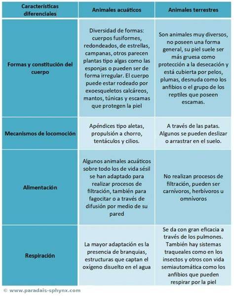 Comparación entre filtradores acuáticos y terrestres