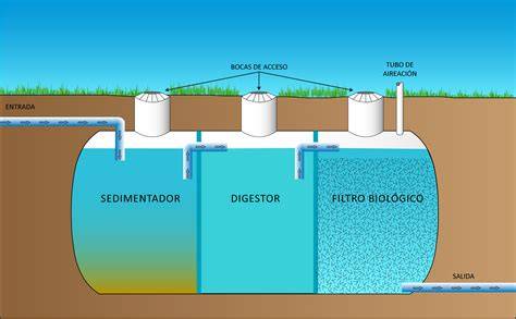 esquema de depuradora biológica bacterias