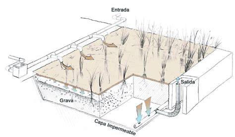 Esquema del sistema natural de depuración