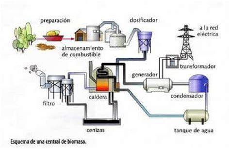 Esquema biomasa libre y fija