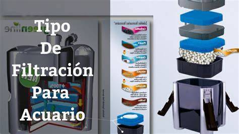 Esquema de filtración mecánica biológica acuario