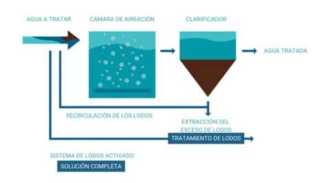 Esquema del proceso de fangos activos