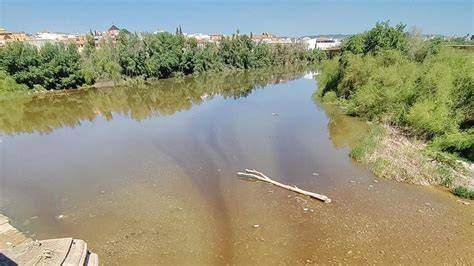 Contaminación urbana en el río Guadalquivir