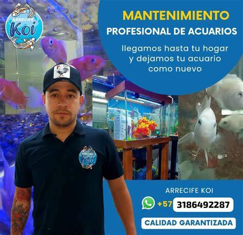 KH Director en acuario de arrecife