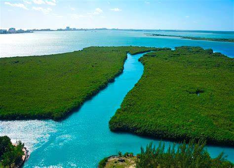Lagunas de Son Navata y biodiversidad