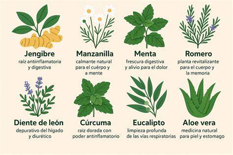 Plantas medicinales para cuidado hepático